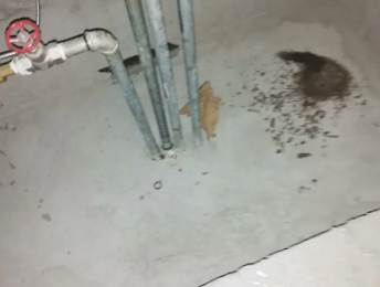 无极卫生间测漏水价格明细